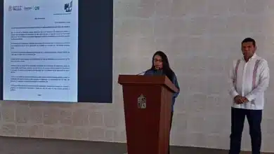 inyección millonaria de la cfe transformará el suministro eléctrico en tabasco