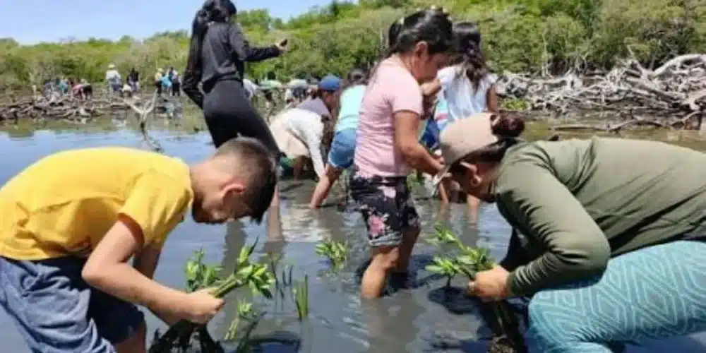 las comunidades devuelven el verde a la reserva de wanha’