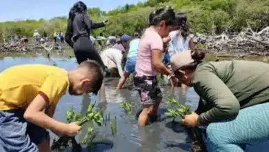 las comunidades devuelven el verde a la reserva de wanha’