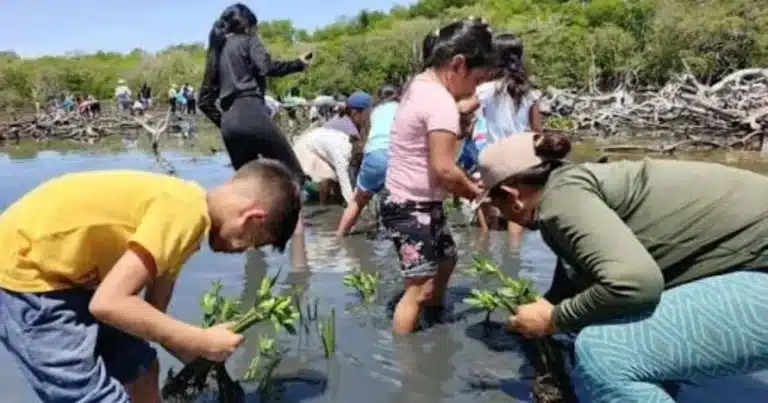 las comunidades devuelven el verde a la reserva de wanha’