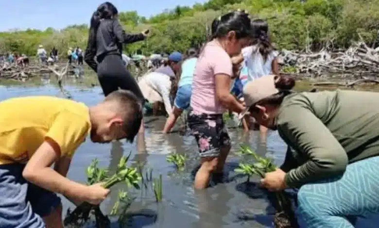 las comunidades devuelven el verde a la reserva de wanha’