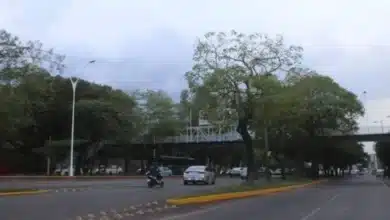 lluvias intensas y ambiente cálido