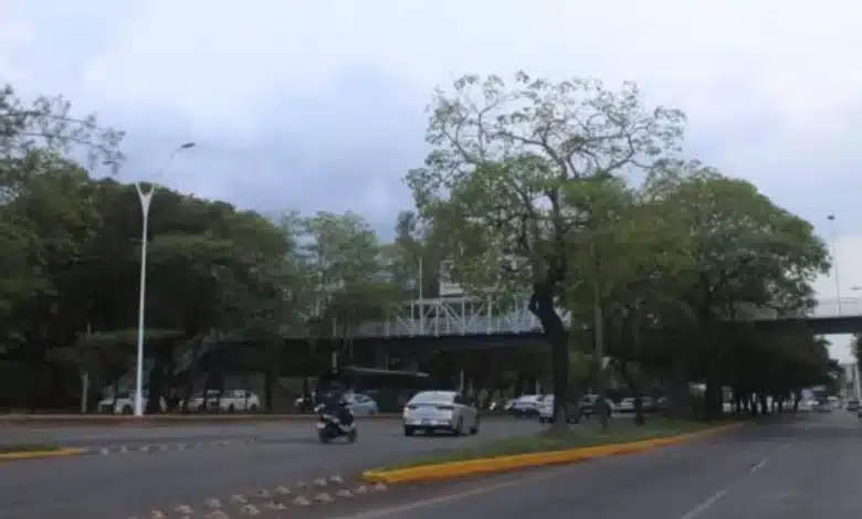 lluvias intensas y ambiente cálido