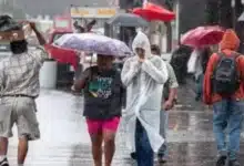 protección civil prevé un intenso periodo invernal con 56 frentes fríos en el territorio