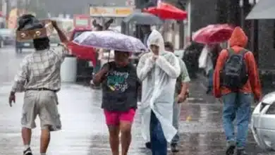 protección civil prevé un intenso periodo invernal con 56 frentes fríos en el territorio