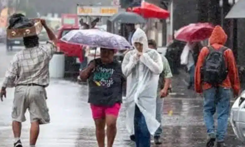 protección civil prevé un intenso periodo invernal con 56 frentes fríos en el territorio