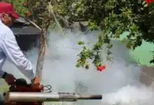 salud urge a tapar depósitos de agua ante altas temperaturas
