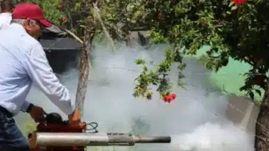 salud urge a tapar depósitos de agua ante altas temperaturas