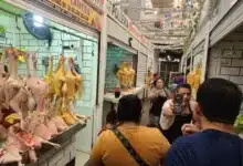 se dispara precio del pollo y la gallina hasta un 38 por ciento por escasez en granjas locales