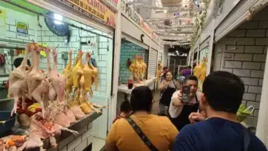 se dispara precio del pollo y la gallina hasta un 38 por ciento por escasez en granjas locales