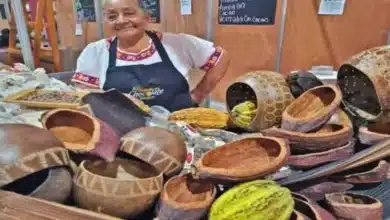 tabasco apuesta al maridaje y protección global en el xv aniversario del festival del chocolate