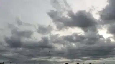 tabasco enfrentará jornada de calor sofocante y tormentas dispersas