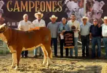 tabasco levanta la mano para cita nacional de cebú