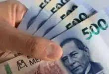 tabasco mantiene dinamismo con alza del 3.3% desarrollo económico