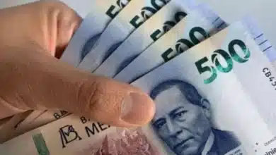 tabasco mantiene dinamismo con alza del 3.3% desarrollo económico