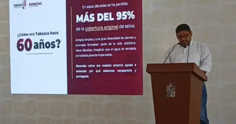 urgente recuperar el equilibrio ecológico en tabasco tras perdida del 95 por ciento de su cobertura vegetal