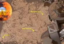Descubren en Marte barro agrietado que revela ciclos antiguos de humedad y sequía (Foto Nasa)