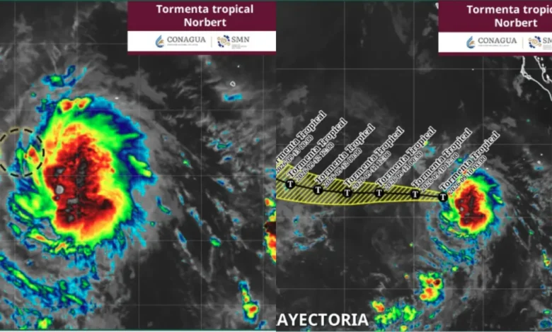 Norbert se intensifica en el Pacífico ¿Se convertirá en Huracán? (Foto de Conagua)