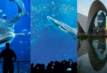 Los tres acuarios más impresionantes del mundo (Fotos de internet)
