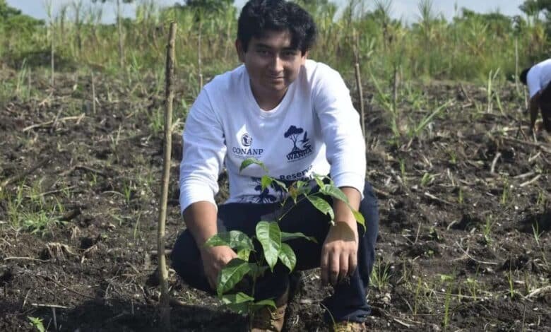avanza la rescate ambiental de la reserva wanha’
