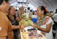 cacao, historia y desarrollo en pre festival 2026
