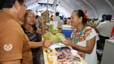 cacao, historia y desarrollo en pre festival 2026