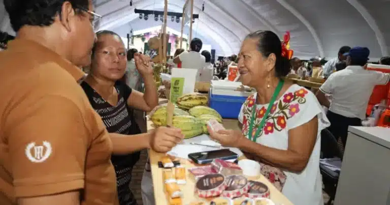 cacao, historia y desarrollo en pre festival 2026