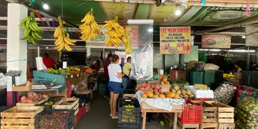 central de abasto refuerza el bolsillo familiar con precios accesibles en la canasta básica