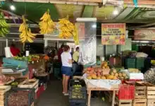 central de abasto refuerza el bolsillo familiar con precios accesibles en la canasta básica