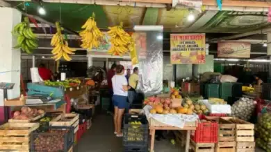 central de abasto refuerza el bolsillo familiar con precios accesibles en la canasta básica