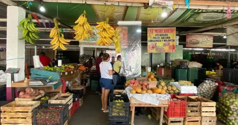 central de abasto refuerza el bolsillo familiar con precios accesibles en la canasta básica