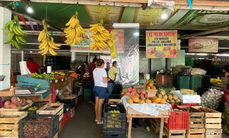 central de abasto refuerza el bolsillo familiar con precios accesibles en la canasta básica