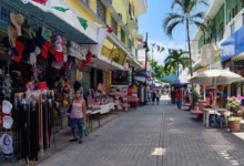 cierre de año con ganancias de hasta el 50 por ciento en centro histórico