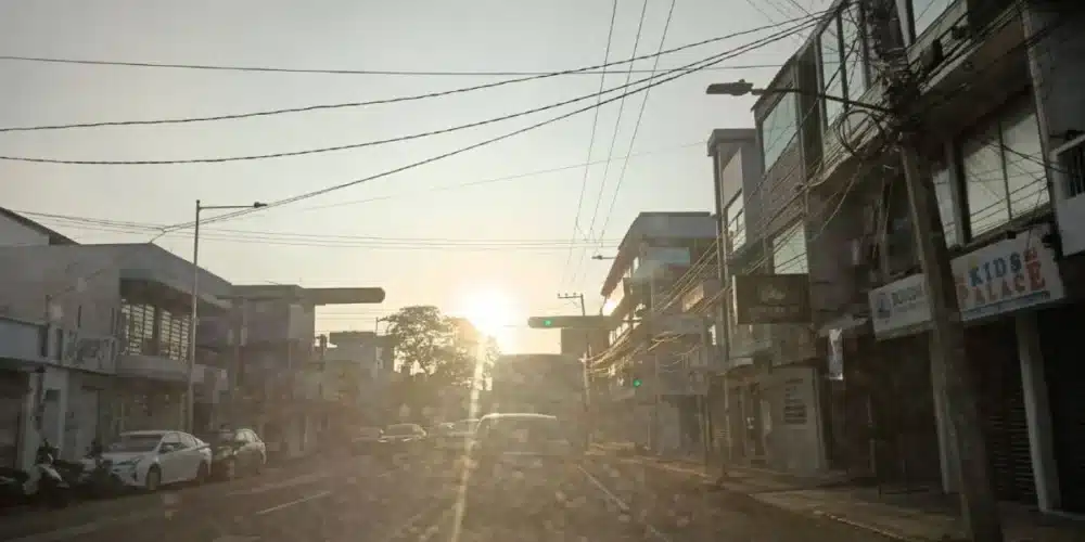 día soleado y cálido