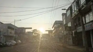 día soleado y cálido