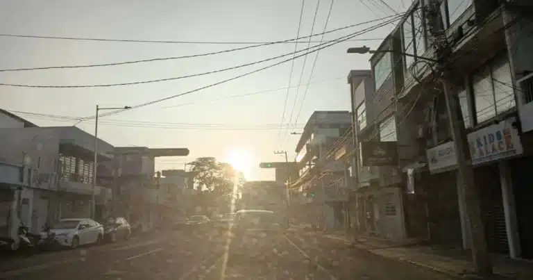 día soleado y cálido