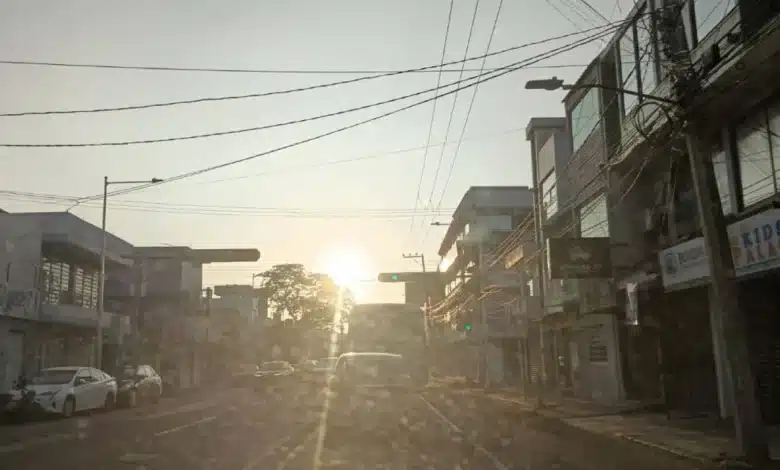 día soleado y cálido