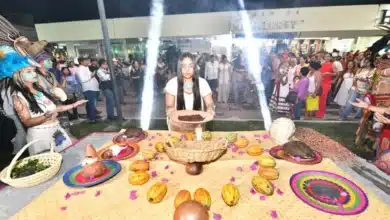 el cacao tabasqueño reivindica su origen en el pre festival de comalcalco
