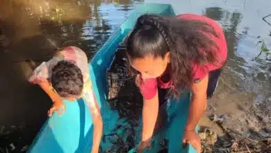 emergen el topén en los popales de tabasco