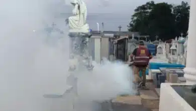 Fumigan 122 panteones en Centro por Día de Muertos (Foto de cortesía)