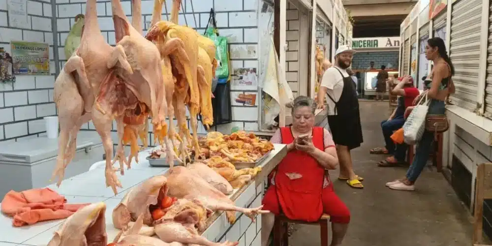 estabiliza pino suárez precios de pollo y gallina en octubre