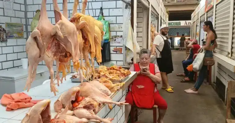 estabiliza pino suárez precios de pollo y gallina en octubre