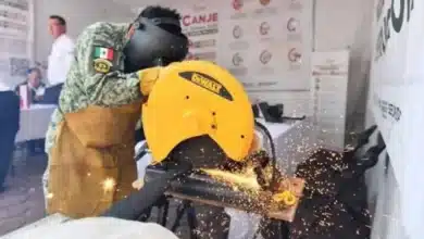 Éxito del programa de desarme voluntario