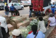 floristas le apuestan al repunte de ventas por san judas y día de muertos