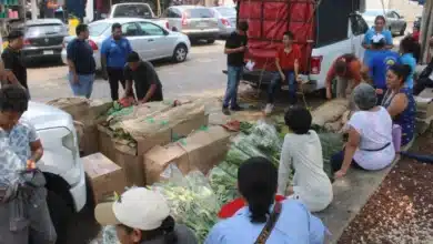 floristas le apuestan al repunte de ventas por san judas y día de muertos
