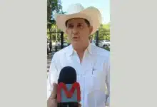 Ley de bienestar animal equilibra la protección y las tradiciones en México