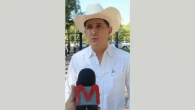 Ley de bienestar animal equilibra la protección y las tradiciones en México