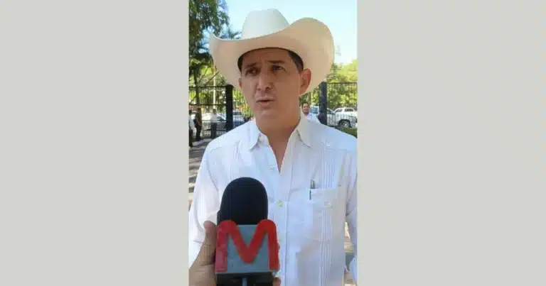 Ley de bienestar animal equilibra la protección y las tradiciones en México