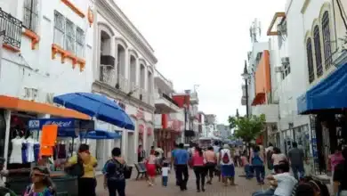 piden no hacer obras decembrinas que afecten la movilidad económica de la zona luz