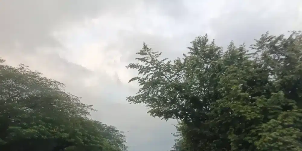 prevén lluvias ligeras para este día